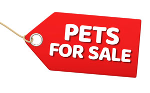 Let’s put Craigslist, Facebook out of the “pets for sale” business.